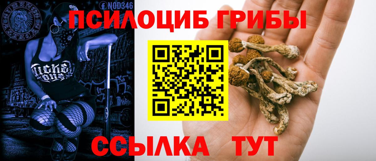 Псилоцибиновые грибы GOLDEN TEACHER Новочебоксарск